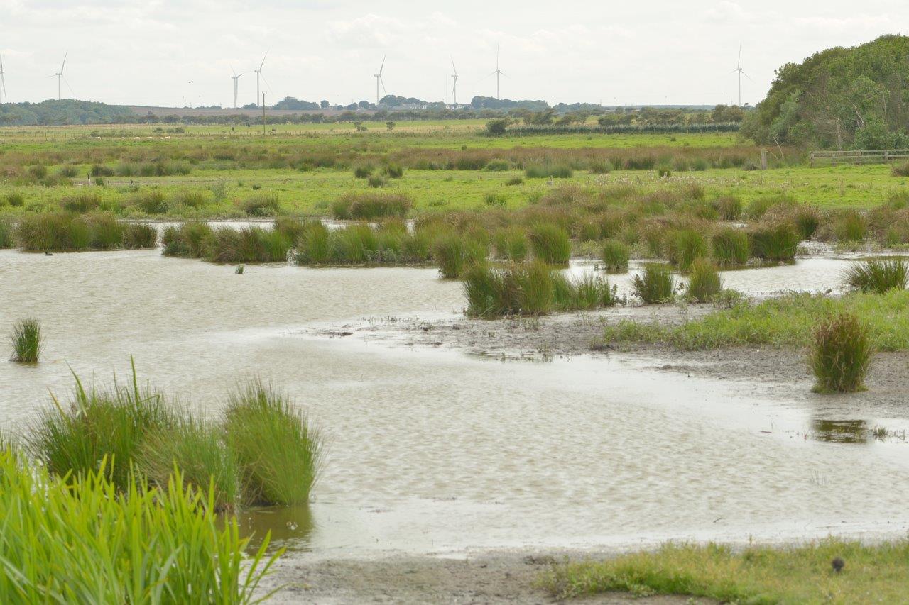 Druridge-Pools-photo-Steven-Morris