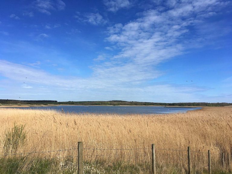 East-Chevington-in-the-sunshine-on-13-May-2019-photo-Sophie-Webster1