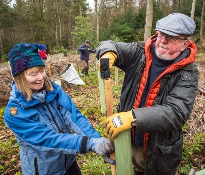 TreePlanting_GJmr-8557